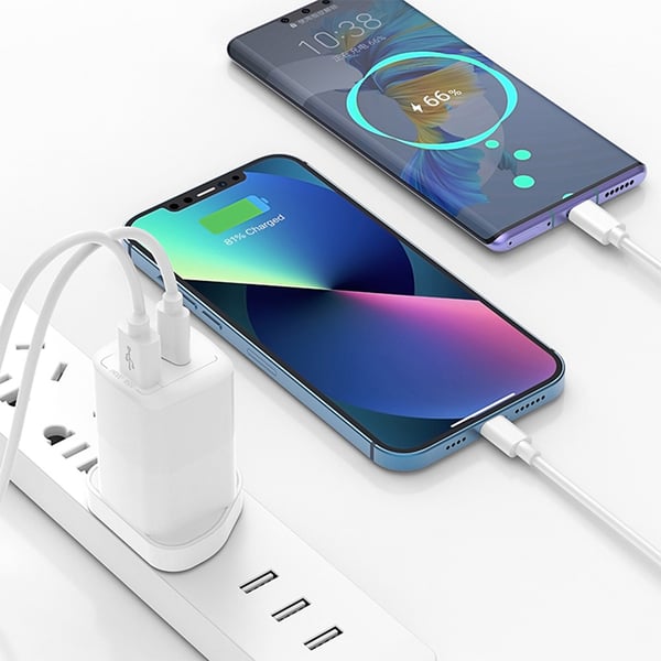 WiWU Nano GaN PD + QC Nano 65W Fast Charger, White