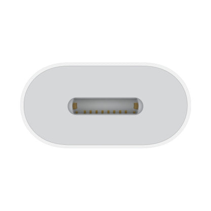 Apple USB-C to Lightning Adapter White