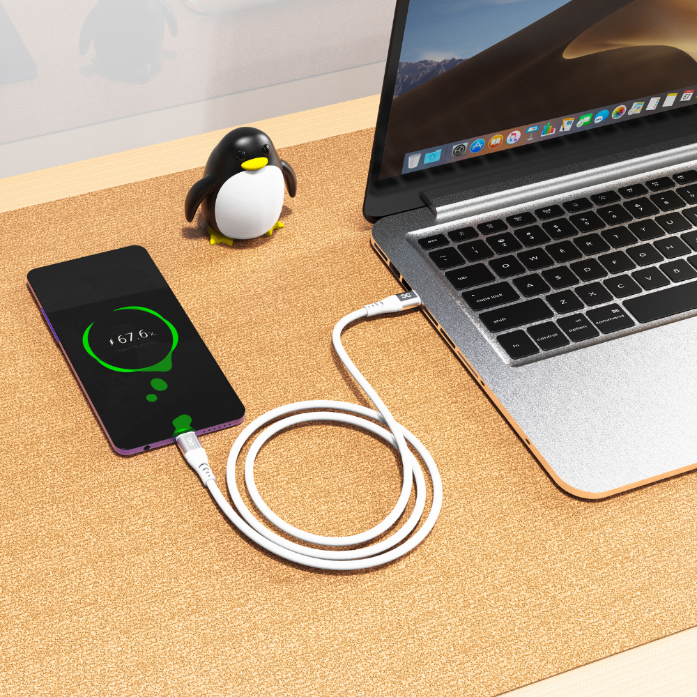 Infinyty DuoFlex-I Silicone USB-C to USB-C Cable, 100W, 1m, White