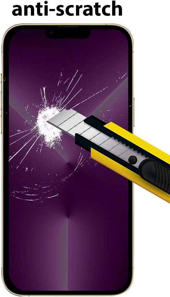 PROTECT  iPhone 13 Pro Max Privacy Screen Protector,  9D Tempered Glass, Anti Scratch, Matte , Black, PIP13PMTGM