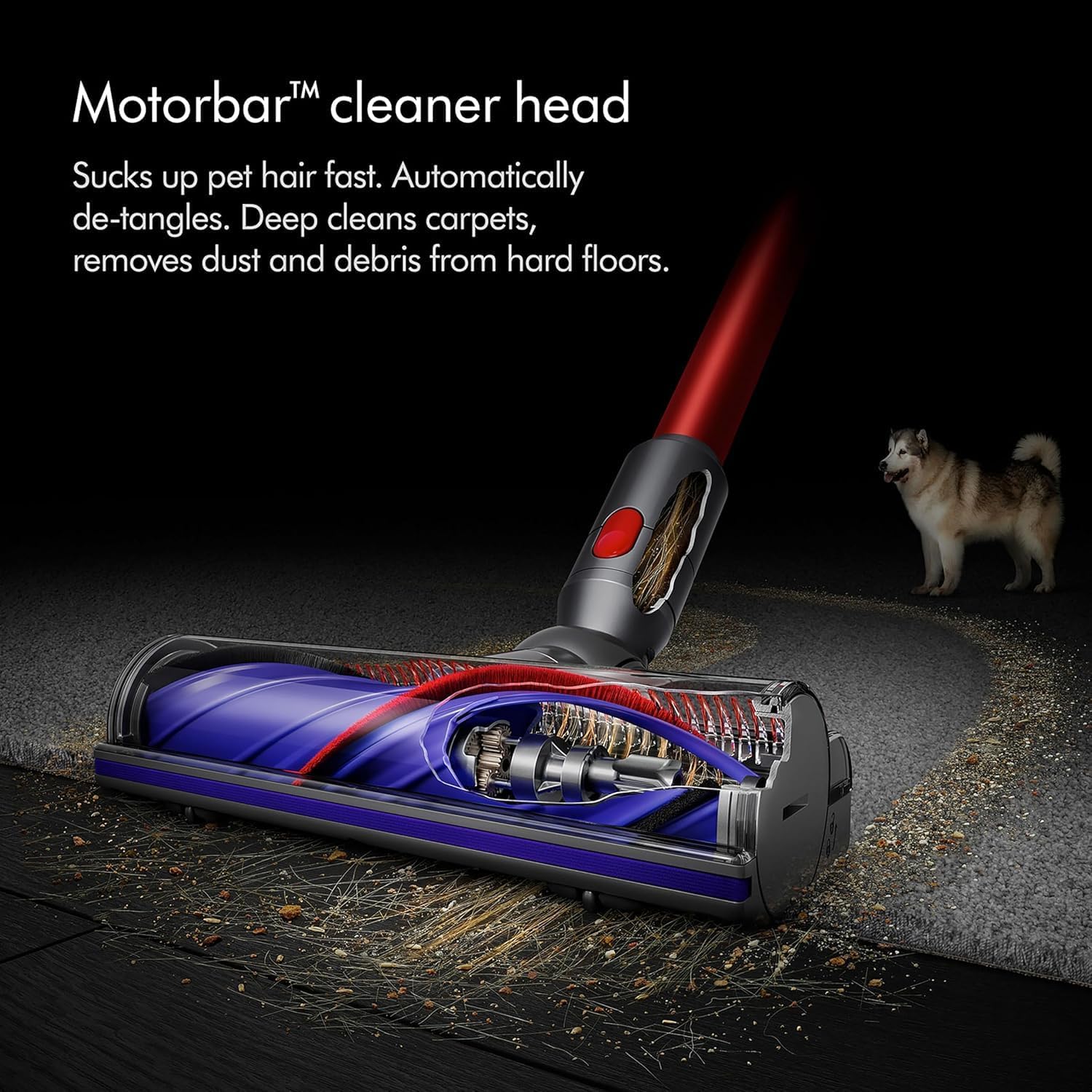 Dyson V10 Total Clean - 3 Power Modes Eco Medium Boost