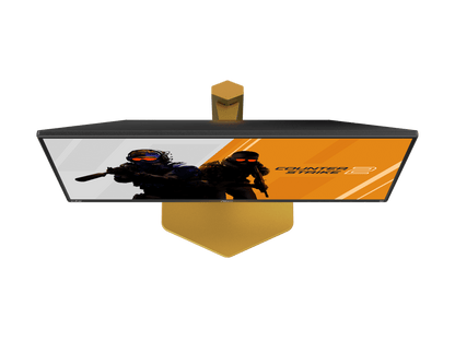 AOC CS25G 24.5-inch Fast IPS Gaming Monitor – FHD 1920x1080p, 310Hz, 0.3ms, DisplayHDR400, G-SYNC Compatible